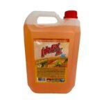 IDEFIX DESODORANTE X 5L HAWAI - ULTRA CONCENTRADO