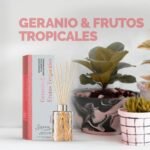 DIFUSOR SAPHIRUS PREMIUM GERANIO Y FRUTOS TROPICALES 125 C - Imagen 2